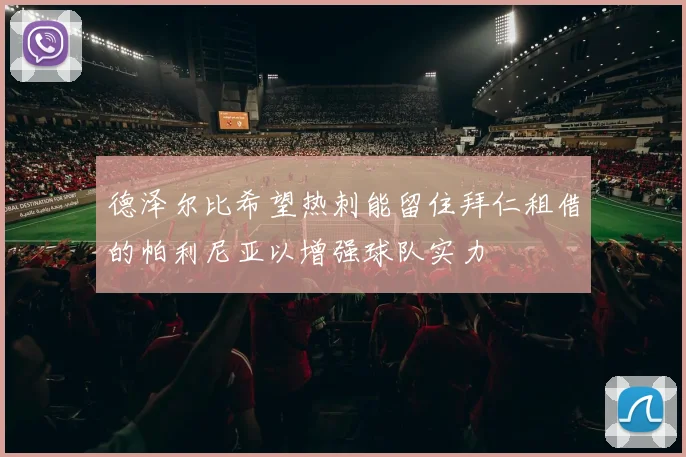 德泽尔比希望热刺能留住拜仁租借的帕利尼亚以增强球队实力