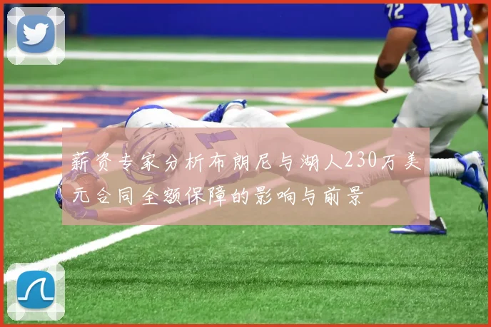 薪资专家分析布朗尼与湖人230万美元合同全额保障的影响与前景